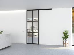 Contemporary Style Glass Doors