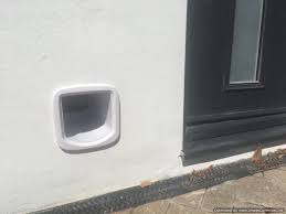 Wall Cat Flap Just Cat Flaps