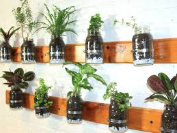 Mason Jar Wall Garden Inhabitat