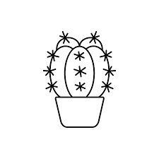 Pot Desert Cactus Plant For Terrarium