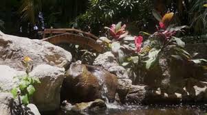 Small Bridge And Waterfall In Garden