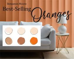 Orange Palette Interior Home Paint