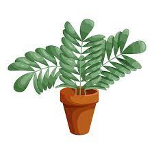Plant In Ceramic Pot Icon In Cartoon