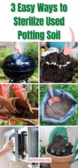 To Sterilize Used Potting Soil Gardening
