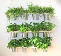 Hanging Shelf And Pots Kitchen Herb