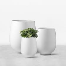 Designer Pots And Planters Think