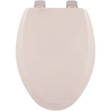 Toilet Seat In White With Chrome Hinge