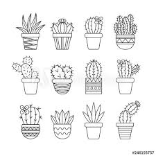 Succulents Drawing Cactus Drawing