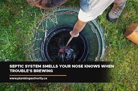 Septic System Smells Your Nose Knows