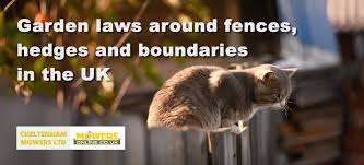 Garden Laws Around Fences Hedges And
