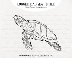 Loggerhead Sea Turtle Svg Clip Art Sea