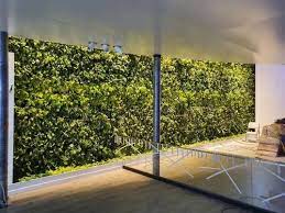 Green Wall Vertical Garden On