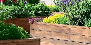 About Raised Vegetable And Garden Beds