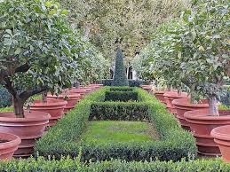 Terracotta Pots Planters Holloways