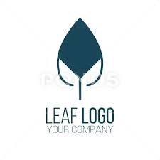 Abstract Leaf Logo Icon Vector Design