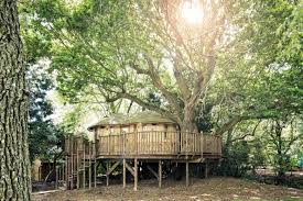Whimsical Tree House Design For S