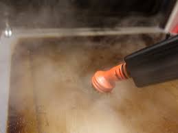 Best Steam Cleaners 2024 The Best For