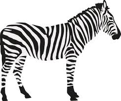 Zebra Icon Images Browse 66 634 Stock