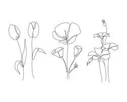 Poppy Flower Line Drawing Imagens