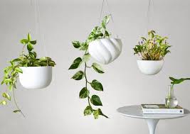 Modern Decorative Hanging Planters
