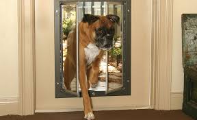 How To Choose A Dog Door The Home Depot