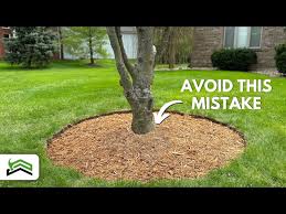 Easy Lawn Edging Installation Garden
