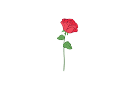 Spring Red Rose Flower Vector Icon