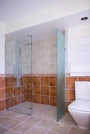 Walk In Shower Frameless Splash Guard