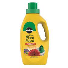 Miracle Gro All Purpose 32 Oz Plant