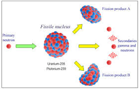 Nuclear Fission Radioactivity Eu Com