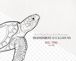 Loggerhead Sea Turtle Vector Clip Art