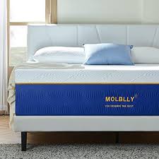 10 Superior Bed In A Box For 2024