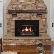 Gas Fireplace Insert