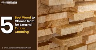 External Timber Cladding Discover 5