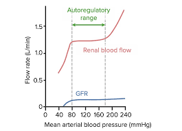 Glomerular Filtration Renal Physiology