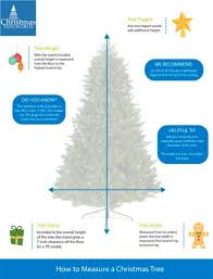 How To Choose A Tree Height