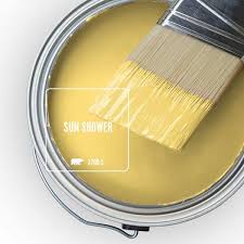 Hi Gloss Enamel Interior Exterior Paint