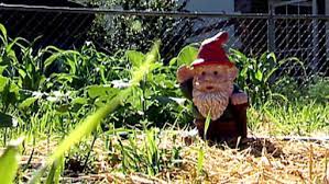 Garden Gnomes Make Charming Garden