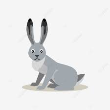 Snowshoe Hare Clipart Vector Icon Of