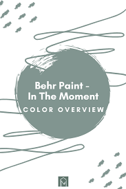 In The Moment Behr Paint Color Overview