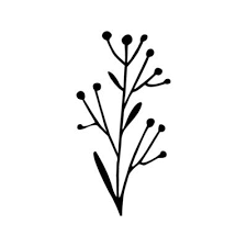 Wildflower Icon Vector Wild Flower
