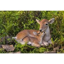 Baby Deer Garden Statue