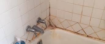 How To Clean Mold Out Of Shower Grout