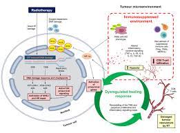 repurposing proton beam therapy through