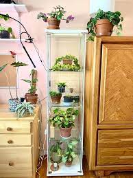 Ikea Greenhouse Cabinet Sprouts