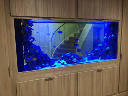 Crawley Down Fish Tank Wall Living