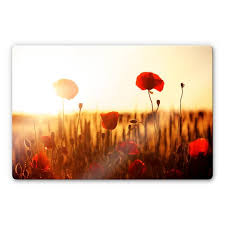 Sunny Poppy Field Kitchen Splashback