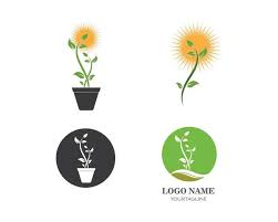 Dandelion Flower Logo Icon Stock Vector
