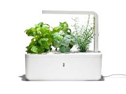 Indoorgarden