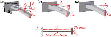 deflection distribution of a cantilever